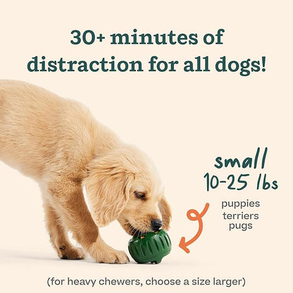 WOOF Starter Pack - Interactive Dog Ball Toy for Boredom - Dog Treat Molds Silicone - Chicken-Flavored Healthy Treats for Dogs - Pupsicle Doggy Enrichment Toy - for Small Pups - 10-25 lbs