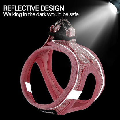 Dog Harness for Small Dogs and Leash Set, Honeycomb Grid, Reflective Lightweight Harness & Anti-Twist Pet Lead (Multi Color, Size: XS-S-M) (M, Pink)