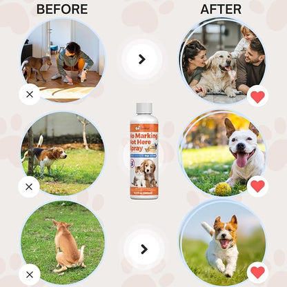 8oz Best Pee Spray for Dogs Indoor & Outdoor – Stop Dog Urinating in House with No More Peeing in House – Dog Stay Away Spray for Furniture, Carpet, Grass – Safe Don't Pee Here Dogs Marking Wrong