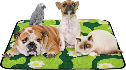 Qeils Reusable Puppy Pads for Small Dogs, Washable Pee Pads with Non-Slip , Absorbent Leakproof Mat for Crates, Playpens, Pet Beds & Whelping, Indoor Potty Training Grass Green, 36"x41", 2 Pack