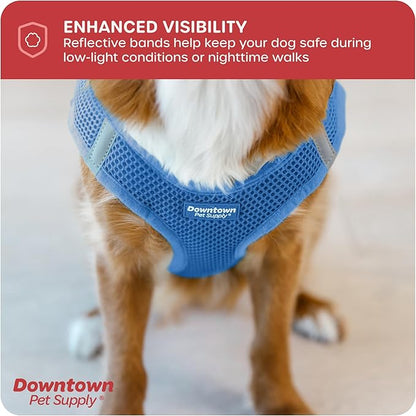 Downtown Pet Supply Step in Dog Harness for Small Dogs No Pull, Small, Cobalt - Adjustable Harness with Padded Mesh Fabric and Reflective Trim - Buckle Strap Harness for Dogs