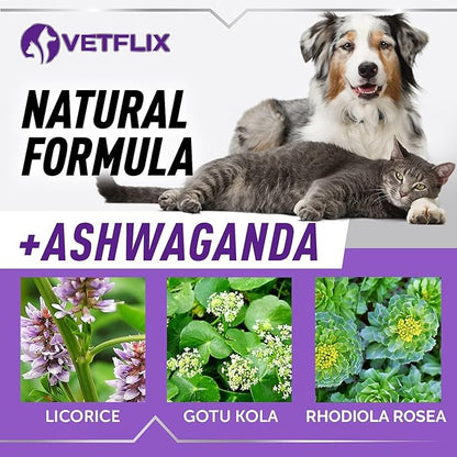 Adrenal Support for Dogs, Cats, Puppies and Kittens - Made in USA - Cushing's and Kidney Support Supplement - Natural Endocrine Health Formula - 2 Fl Oz