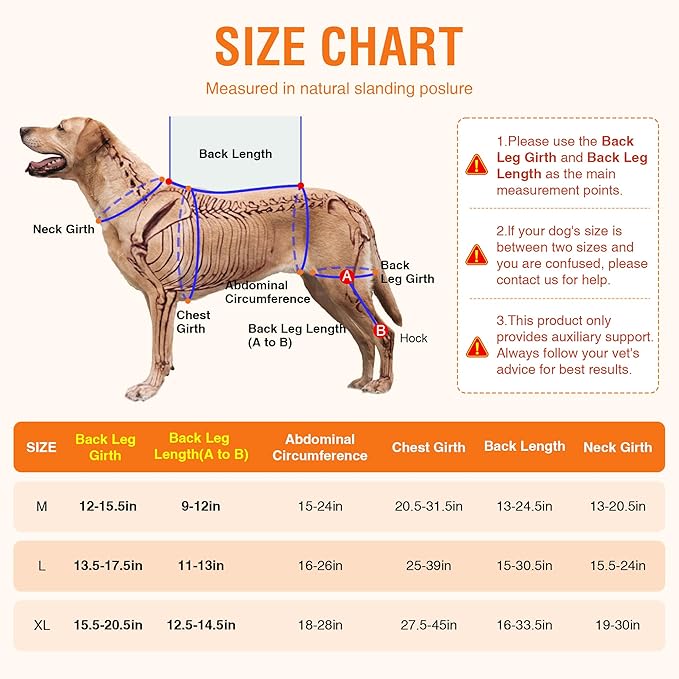 ACL Brace for Dogs – Reflective Adjustable Knee Brace for Dogs Back Leg with Hot/Cold Compress Gel Pack for Joint Pain Relief, Swelling Reduction and Rehabilitation, Left Leg, Size XL
