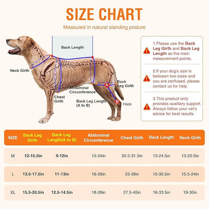 Dog ACL Knee Brace for Rear Leg – Adjustable Back Leg Support with Hot/Cold Gel Pack for Cruciate Ligament Rehab, Joint Pain & Swelling Relief – Reflective, Right Leg, Size XL