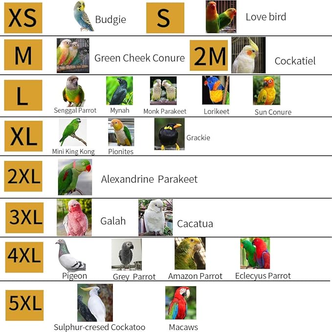 Adjustable Parrot Cone Collar, Safe and Practical Cotton Collar to Prevent Bites and Licking Wounds, to Help heal (M)