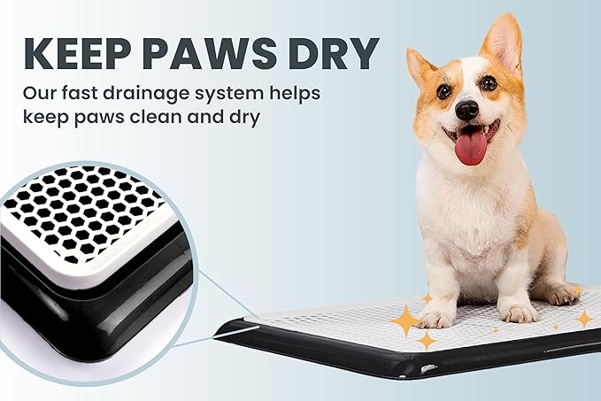 Pet Awesome Dog Potty Tray/Puppy Pee Pad Holder 25”x20” Indoor Wee Training for Small and Medium Dogs