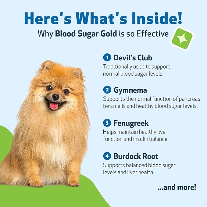 Pet Wellbeing Blood Sugar Gold Dogs - Holistic Blood Sugar Support, Pancreas & Liver Health, Gymnema, Fenugreek & Devil’s Club - NASC Certified & Vet-Formulated - 2 oz Liquid