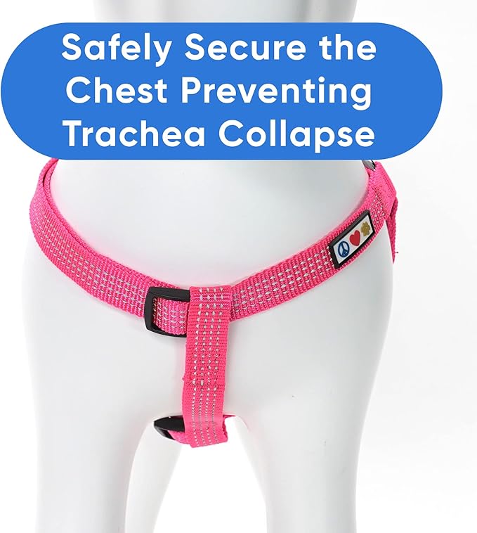 Pawtitas Reflective Step-in Dog Harness – Adjustable No-Pull Vest for Puppies to Seniors, Safe & Comfortable, S Pink