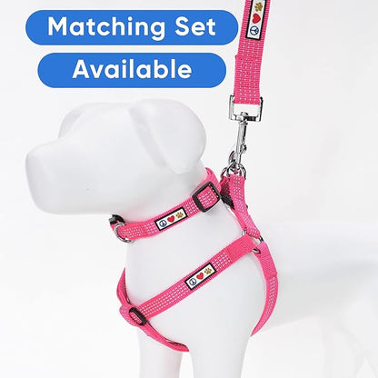 Pawtitas Pink Dog Leash 6 ft XS/S Reflective Durable Lightweight Dog Lead for Small Dogs and Puppies