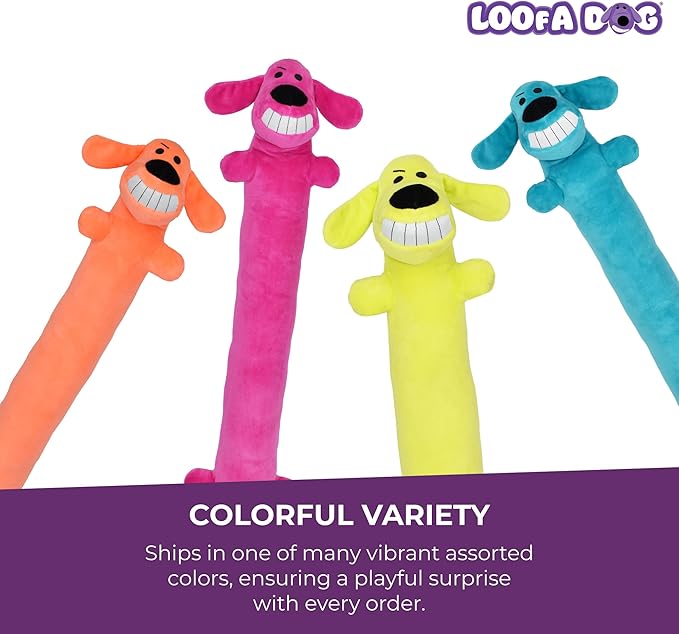 Multipet Original Loofa Dog Plush Toy - Squeaky Toy for All Dogs - Extra Soft Plush - Stuffed Animal Dog Toys for Playing (1 Count, 24”, Random Color Surprise)