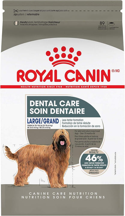 Royal Canin Canine Care Nutrition Large Dental Care Adult Dry Dog Food, 30 lb Bag