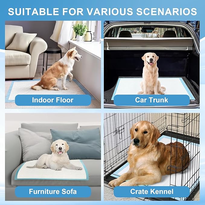 Puppy Pee Pads for Dogs Extra Large 31""x47"" 40 Count, Leak-Proof & Super Absorbent, Thicken Disposable Potty Training Pads for Doggie Cats Rabbits, Quick Dry Pet Piddle Pad, Blue&white