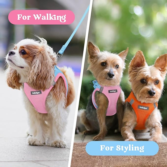 rabbitgoo Small Dog Harness, Step-in Soft Mesh Puppy Vest with Safety Buckle, Breathable Reflective Pet Harness for Small Sized Dogs, Blue & Light Pink S