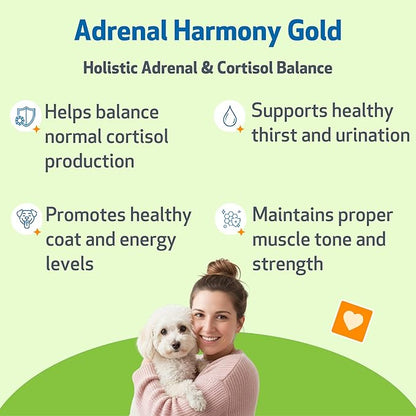 Pet Wellbeing Adrenal Harmony Gold for Dogs - Supports Adrenal Function & Normal Cortisol Levels with Ashwagandha & Bacopa - NASC Certified & Vet-Formulated - 4 oz Liquid Formula