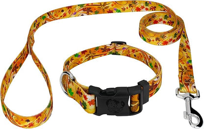 Country Brook Petz - Autumn Wind Everyday Dog Collar and Leash - Awesome Autumn Collection Featuring Designs You'll Fall for (1 Inch, Medium)