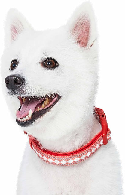 Blueberry Pet 3 Colors 3M Reflective Jacquard Neoprene Padded Adjustable Dog Collar, Coral, Small, Neck 12"-16"