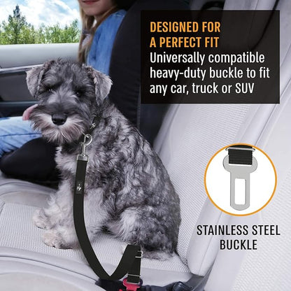 Active Pets Black Car Seat Belt for Dogs, Attaches to Harness & Collar, Adjustable 18" - 24" Travel Restraint System Fits Small - Large Pups for Safety & Comfort, Essential Pet Supplies & Accessories