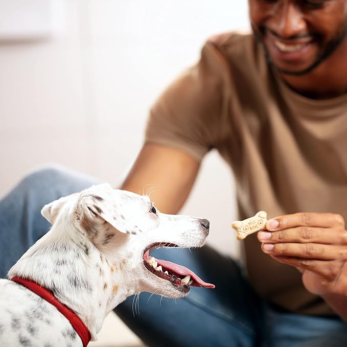 Milk-Bone Dog Treats for Medium Dogs, 24 Ounce | Pack of 2 | Crunchy | Helps Clean Teeth