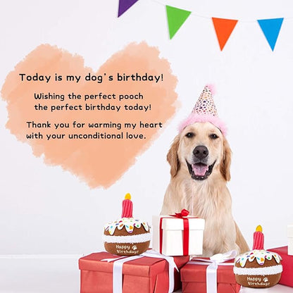 lilfrd Dog Birthday Toy, Birthday Cake Toys for Puppy Gifts, Squeaky Plush Dog Toys