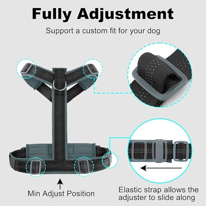 Plutus Pet No Pull Dog Harness, Adjustable Nylon Harness with Soft Padding, Reflective and Heavy Duty Dog Harness for Small, Medium, Large Dogs(Black, XS)