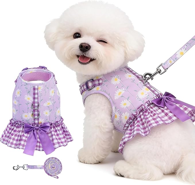 EXPAWLORER Dog Harness Small Medium Sized Dogs, Daisy Dog Dress Bowknot Harness and Leash Set, No Choke No Pull Soft Mesh Vest Cute Princess Puppy Outfits Clothes Costume for Girls Party Cats Purple S