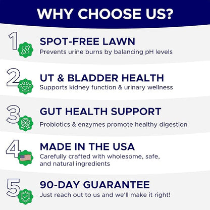 Green Grass Dog Chews - Pee Lawn Spot Saver - Grass Restore Treats - Dog Urine Neutralizer Solution for Grass Burn Spots - Made in USA - 120 Chews