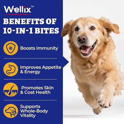 260 Bites Wellix 10-in-1 Dog Vitamins - Multivitamin for Dogs Immune Supports,Boost Hip&Joint,Skin&Coat,Liver&Gut Health -Dog Antioxidant Supplements