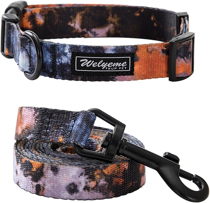 Dog Collar and Leash Set for XSmall Small Medium Large Dogs, Rainbow Stripes, Tie Dye Dog Collar (S(9.9''-11.8''))