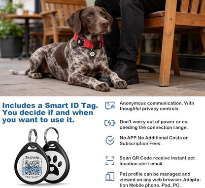 Tactical AirTag Dog Collar Waterproof with QR ID Tag, Military Training Dog Collar with Built-in AirTag Holder, Strong Metal Buckle & Control Handle, GPS Tracking Collar for Medium Dogs (Red, M)