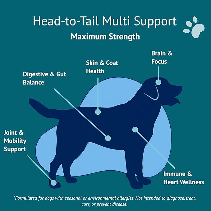 Multi Dog Chews – Comprehensive Health Supplement with Glucosamine, Probiotics, Salmon Oil, Ashwagandha & Mushrooms – Daily Well-Being, Skin & Coat, Digestion and Vitality Support