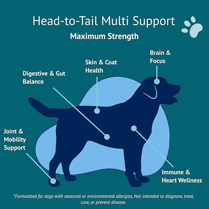 Multi Dog Chews – Comprehensive Health Supplement with Glucosamine, Probiotics, Salmon Oil, Ashwagandha & Mushrooms – Daily Well-Being, Skin & Coat, Digestion and Vitality Support
