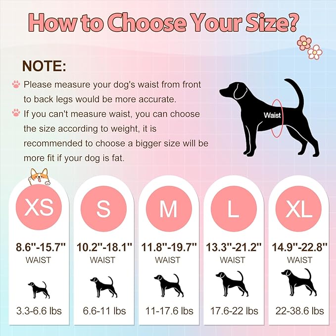 Ambreview Disposable Dog Diapers Female, Just Pull It Up, Doggie Diapers for Female Dogs, Strong Absorbency | Leak Proof, for Dogs in Heat | Elderly | Disabled, L 10 PCS