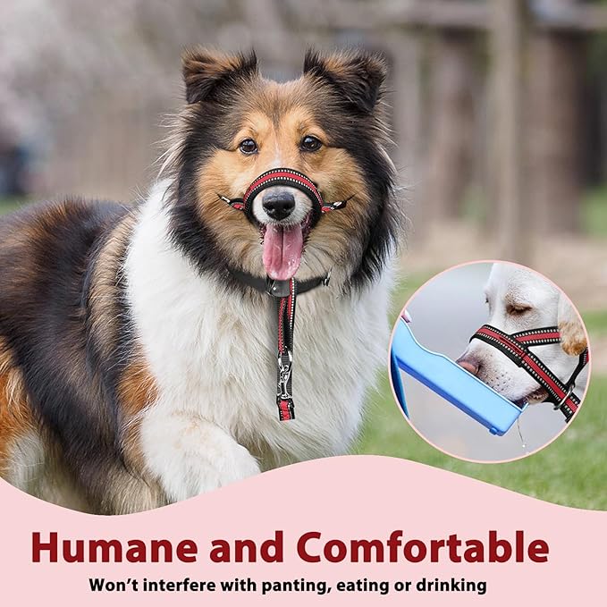 BARKLESS Soft Dog Head Collar, Patented Padded No Pull Head Halter, Training Nose Leash with Safety Link for Medium Large Dogs, Adjustable Muzzle Leash, Easy Control for Walking (XL, Red)