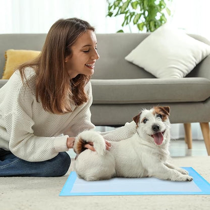 FluffyDream Super Absorbent Waterproof Dog and Puppy Pet Training Pad, Housebreaking Pet Pad,Blue (30"X36"(100PCS))