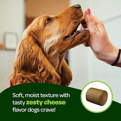 Probiotic Chews for Dogs Gut Health | Tasty Pre and Probiotics for Dogs Digestive Health with Pumpkin Dog Probiotics and Digestive Enzymes | NASC Certified & Made in The USA | 60 Chews (Pack of 2)
