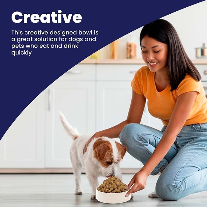 SPOT by Ethical Products – Ceramic Stoneware Pet Bowl for Cats and Small Dogs,Classic Heavy Duty Non Slip Ceramic Cat Dish Dog Bowls for Food and Water