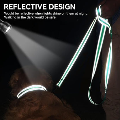 Joytale Dog Leash, 5 FT Double-Sided Reflective, Padded Handle Nylon Heavy Duty Leashes for Medium & Large Dogs Walking, Teal