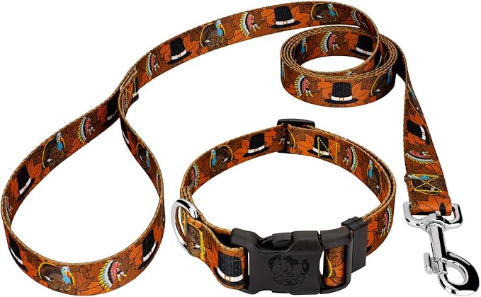 Country Brook Petz - Thanksgiving Tradition Everyday Dog Collar and Leash - Awesome Autumn Collection Featuring Designs You'll Fall for (1/2 Inch, Extra Small)
