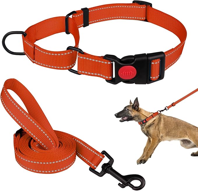 Martingale Dog Collar and Leash Set Martingale Collars for Dogs Reflective Martingale Collar for Small Medium Large Dogs(Orange&L)