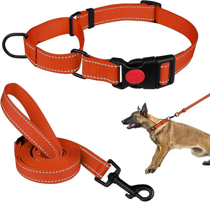 Martingale Dog Collar and Leash Set Martingale Collars for Dogs Reflective Martingale Collar for Small Medium Large Dogs(Orange&L)