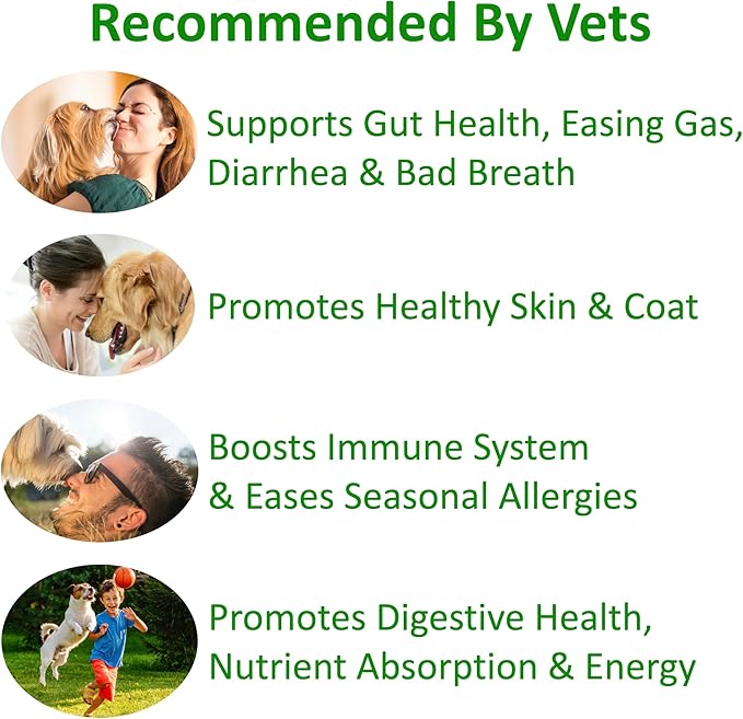 TummyWorks Probiotics for Dogs. 120 Probiotic Soft Chews for Digestive Health, Gut, Immunity, Energy, Allergies, Skin & Coat. 10 Strains, 5 Billion CFUs with 6 Enzymes. Made in USA