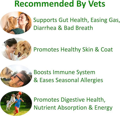 TummyWorks Probiotics for Dogs. 120 Probiotic Soft Chews for Digestive Health, Gut, Immunity, Energy, Allergies, Skin & Coat. 10 Strains, 5 Billion CFUs with 6 Enzymes. Made in USA
