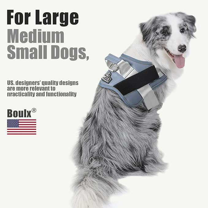 Bolux Dog Harness, No-Pull Reflective Dog Vest, Breathable Adjustable Pet Harness with Handle for Outdoor Walking - No More Pulling, Tugging or Choking (Blue, M)