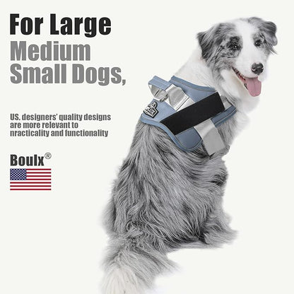 Bolux Dog Harness, No-Pull Reflective Dog Vest, Breathable Adjustable Pet Harness with Handle for Outdoor Walking - No More Pulling, Tugging or Choking (Blue, M)
