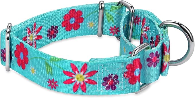Martingale Collar Floral Print Dog Collar - No Pull Pet Collar, Heavy Duty Adjustable Dog Collar, Large, Neck 17 Inch to 25 Inch, Sun Flower (Teal)