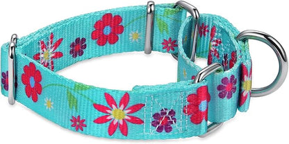 Martingale Collar Floral Print Dog Collar - No Pull Pet Collar, Heavy Duty Adjustable Dog Collar, Large, Neck 17 Inch to 25 Inch, Sun Flower (Teal)