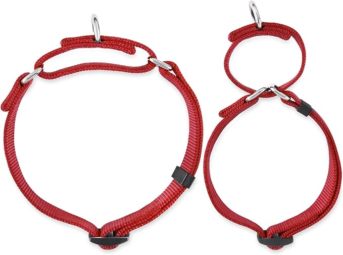 Hyhug Martingale Collar for Dogs Small Red |Escape - Proof Heavy Duty Nylon Durable No Buckle, Ideal for Training & Daily Walks