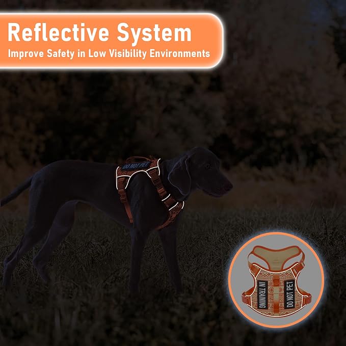 AUNZO Orange Tactical Dog Harness Vest for Large Dogs No Pull Adjustable Reflective Military Pet Harness with Handle for Golden Retriever, Doberman Pinscher, Rottweiler, Great Dane Service Dog, XL