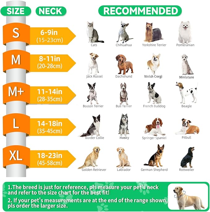 Upgraded Inflatable Dog Cone Collar with Transparent Anti-Licking Shield, Adjustable Elizabethan Collar for Medium Large Dogs, 2-in-1 Design with Detachable Shield and Soft Padding (M+, Lime)