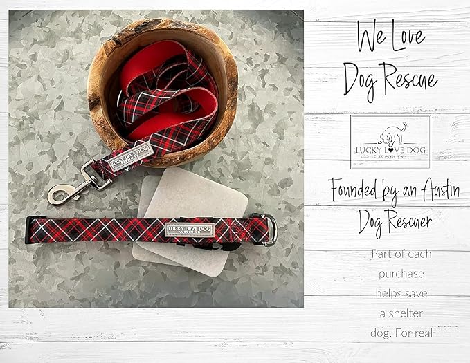 Lucky Love Dog Martingale Dog Collar & Leash - Adjustable, No-Slip, Durable, Comfortable, Soft Webbing, & Stylish Patterned Collar & Leash Set for Male and Female Dogs - Heywood Combo, Small
